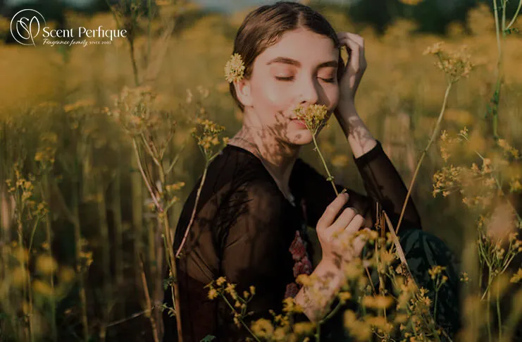 Scent Perfique