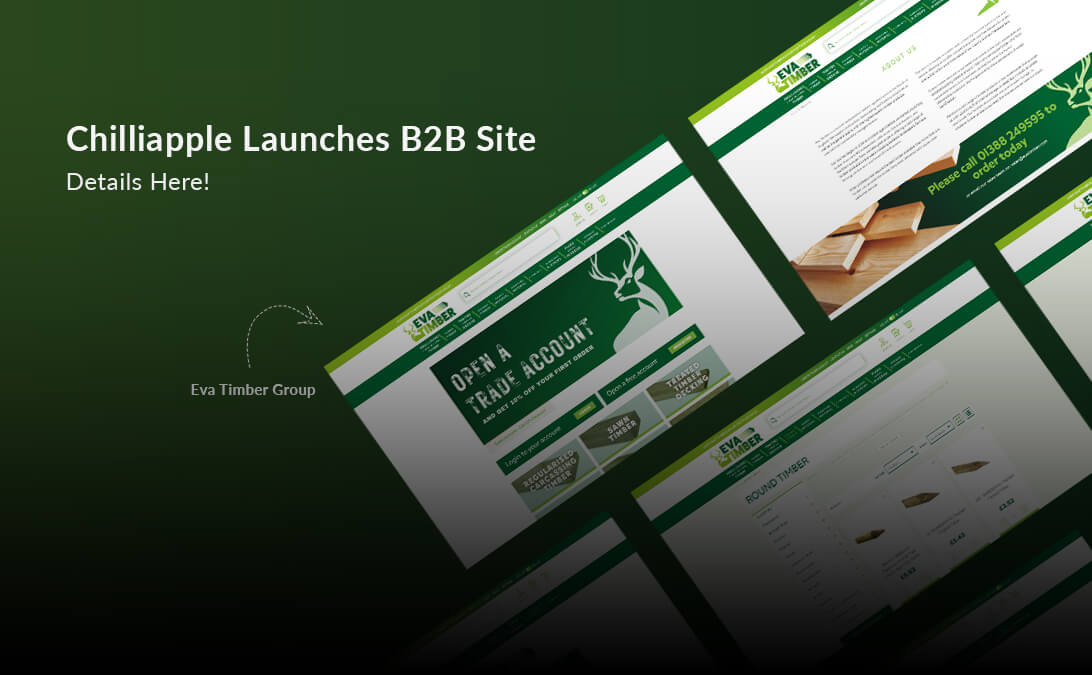 Chilliapple Helped B2B Company Launch a Successful eCommerce Site