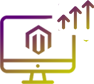 Magento SEO